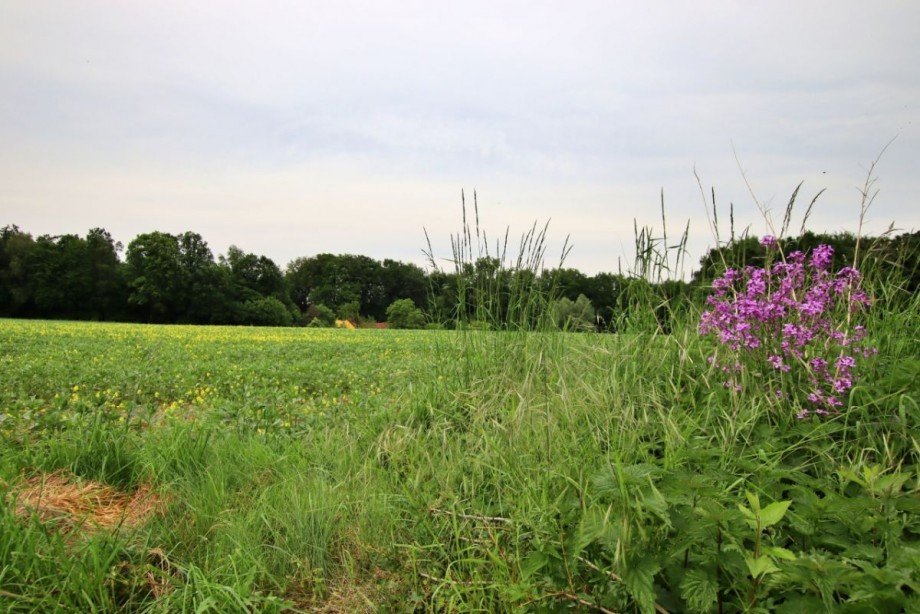 L�ndliche Idylle Mehrfamilienhaus Bielefeld