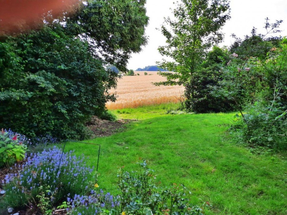 Garten Einfamilienhaus Werther