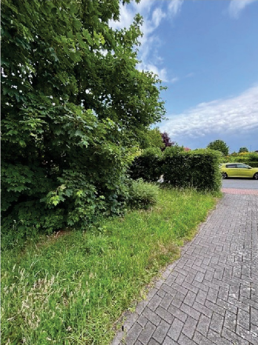 Bild1 Wohngrundst�ck Gronau