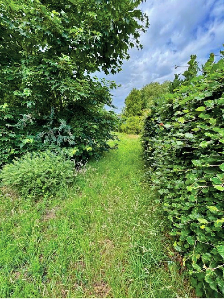 Bild3 Wohngrundst�ck Gronau