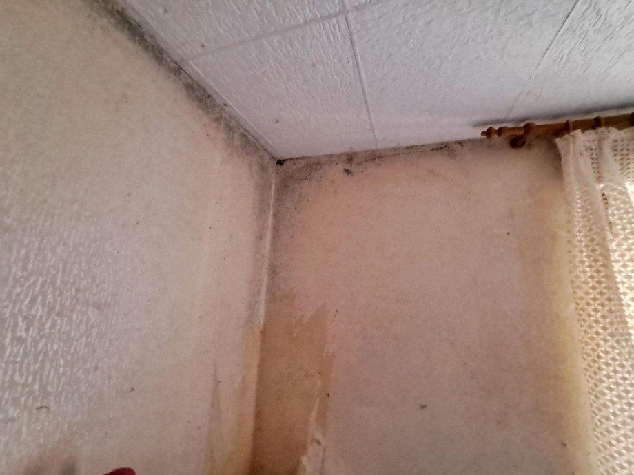 Schlafzimmer Wohngrundst�ck Halle (Westf.)