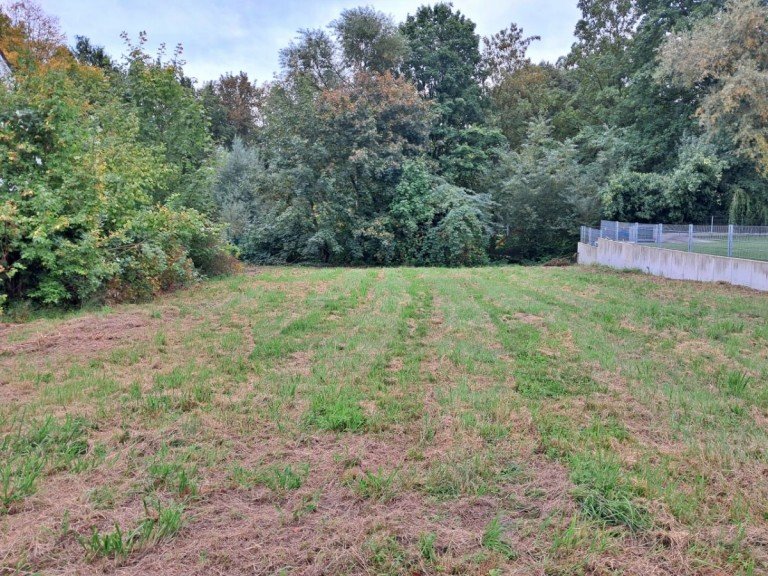 Ansicht Halle (Westf.) Wohngrundst�ck Baugrundst�ck in traumhafter Lage!